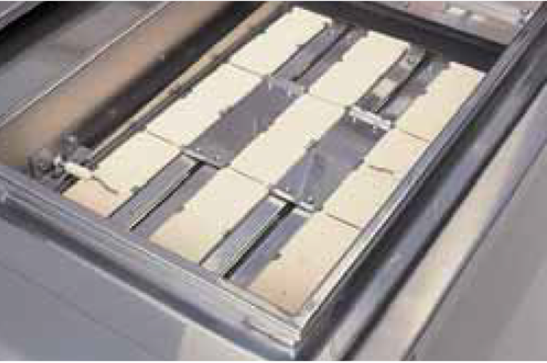 Piastra Gyoza a Gas con Microcomputer · cottura automatica